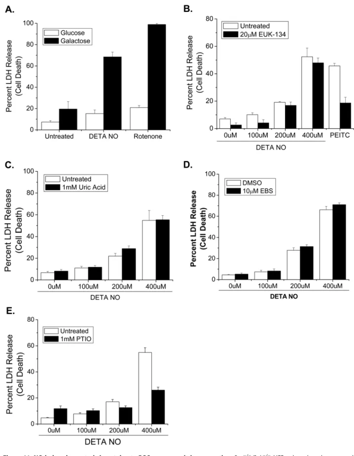 Figure 11. NO-induced apoptosis is not due to ROS or peroxynitrite generation. Bax 2/2 /Bak 2/2 MEFs adapted to glucose or galactose were treated with 400 mM DETA-NO or 10 mM rotenone for 48 hours and cell death was measured by percent LDH release (A)