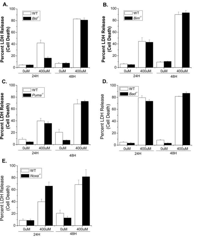 Figure 4. The individual loss of the BH3-only proteins BID, BIM, PUMA, BAD and NOXA does not protect against nitric oxide- oxide-induced cell death