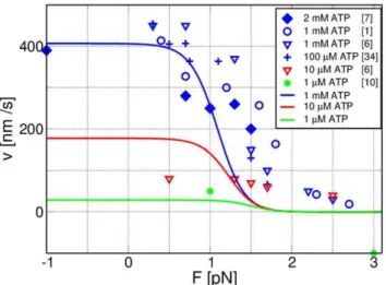 Figure 5. Motor velocity v as a function of external load F for the network formed by the cycle F (lines) compared to experimental data (symbols) for varying [ATP]