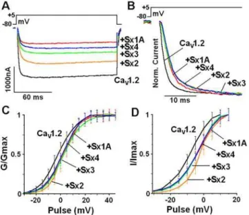 Figure 7. Assembly of the excitosome with syntaxin isoforms does not support depolarization-induced secretion