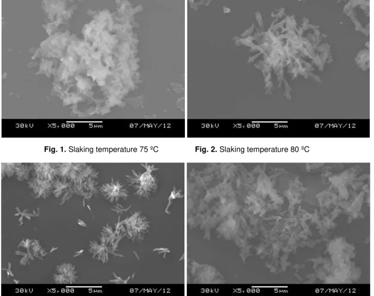 Fig. 3. Slaking temperature 85 ºC                  Fig. 4. Slaking temperature 90 ºC 