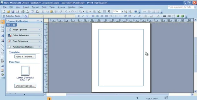 Figura 12: Printscreen de um documento Office Publisher 2007 Fonte: Próprio 