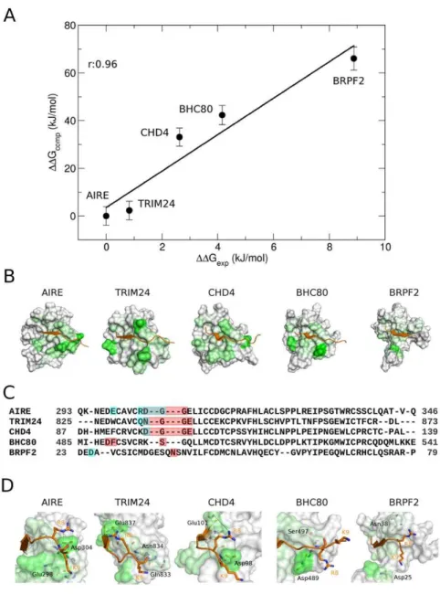 Figure 4. MM/PBSA calculations of PHD fingers recognizing H3K4me0. (A) Correlation between the experimental binding free energy (DG exp ) and the calculated binding free energy (DDG comp ) of H3K4me0-binding PHD fingers