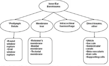 Fig. 6 17 : Tipos de barotrauma do ouvido interno
