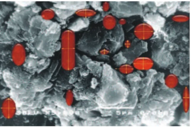 Figure 4. Pore size distribution of different types of luting ce- ce-ments for 15 samples (teeth), 5 for each group of cement