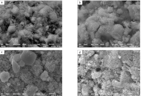 Fig. 2 –  Nanostructure of positive active material containing various electroconducting additives: a  –  without additives, b  –  car- car-bon black, c – red lead, d – polyaniline