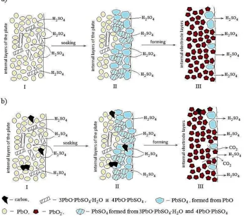 Fig. 3 – Stages of structural changes in forming LASC: a – without additives in the lead paste; b – with 1 % additive of carbon (I – dried  lead paste after maturation , II –lead paste after impregnation in a solution of sulfuric acid, III – positive activ