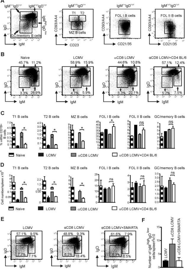 Figure 5. Analysis of the effect of CD4 + T cells on B cell subsets in spleen. (A) Example of splenic B cell subtype analysis