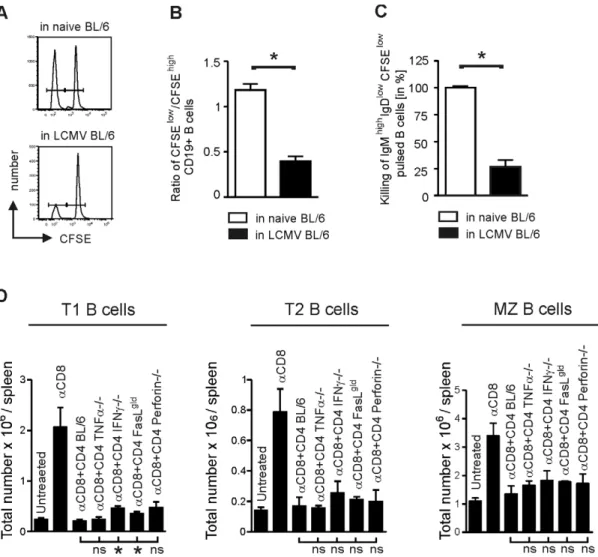Figure 6. Effector mechanisms of CD4 + T cell-mediated immunopathology. (A) Naı¨ve B cells were pulsed with LCMV GP61 peptide and labelled with a low concentration of CFSE (CFSE low )