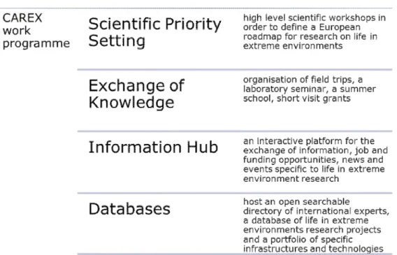 Figure 1. The description of the four lines of actions of the Carex work programme. 