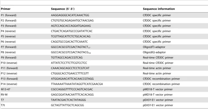 Table 1. Sequences of the primers used in the experiment.