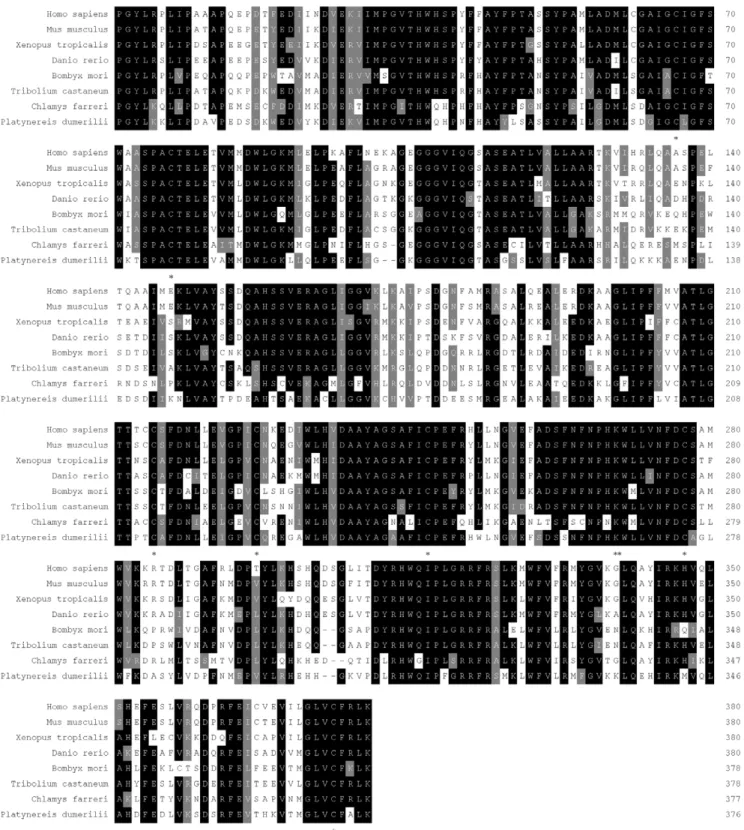 Figure 2. Multiple alignment of the Pyridoxal_deC domain of CfDDC with other DDCs deposited in GenBank