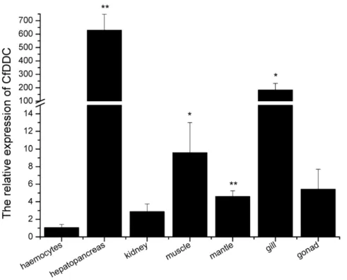 Figure 3. Consensus neighbour-joining tree based on the sequences of DDC from different animals
