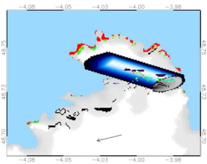 Fig. 8. Model timestep from 10:32 p.m. on 7 September 2006 during an ebb tide, one of the highest concentrations predicted at site