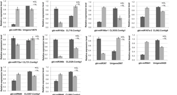 Fig 7. Expression patterns of the ten predicted target genes of the selected miRNAs. The expression levels of the target genes were normalized to that of GAPDH