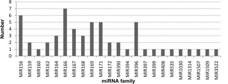 Fig 3. Numbers of members identified in the 23 conserved miRNA families.