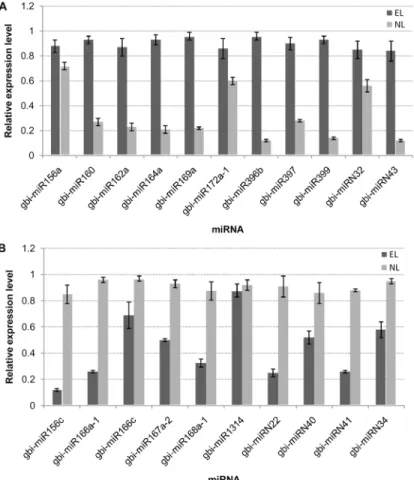 Fig 6. Differentially expressed miRNAs between epiphyllous ovule leaves (EL) and normal leaves (NL) by RT-qPCR