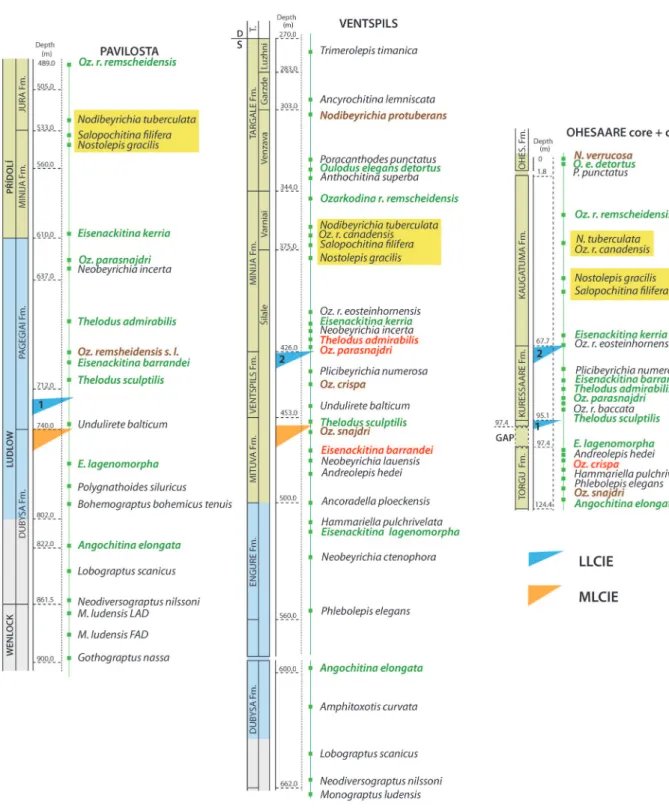 Fig. 3. First appearance datums of the upper Silurian biozonal index species in the three core sections plotted according to actual occurrence depths and their synchroneity evaluated based on the chemostratigraphical time levels