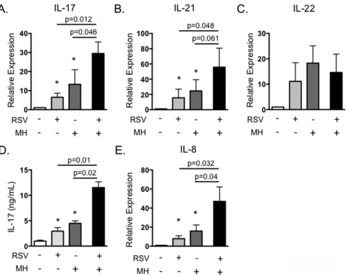 Fig 7. In vitro infection with BRSV and M. haemolytica results in exacerbated IL-17 production