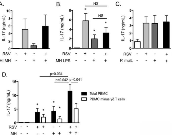 Fig 8. γδ T cells are the primary source of exacerbated IL-17 production in an in vitro model of BRDC