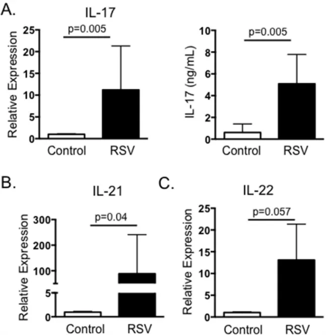 Fig 2. IL-17 and Th17 responses from BRSV vaccinated cattle. Peripheral blood was collected from cows receiving annual vaccinations with a multivalent vaccine containing live-attenuated BRSV (n = 8), or from control cows that were not included in the vacci