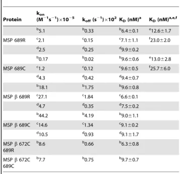 Figure 5. The 689C polymorphism does not affect proteolytic activation of MSP by hepsin