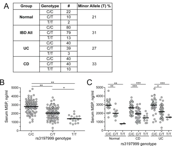 Figure 7. Carriers of the 689C polymorphism have lower quantities of serum MSP. (A) Analysis of rs3197999 alleles in DNA samples from normal, UC, and CD patients