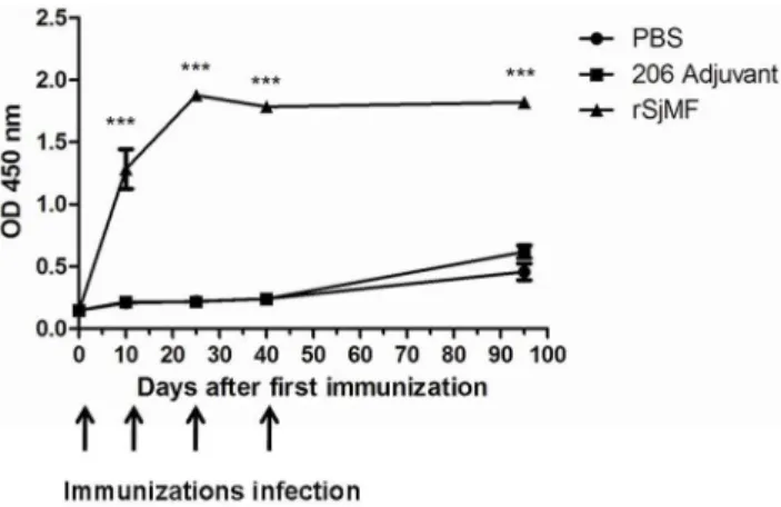 Figure 9. Cytokine profile of mice immunized with rSjMF. Seven days after the last immunization, serum was isolated and assayed for IL-4, IL- IL-10, IL-12 and IFN-c production in response to rSjMF or ISA 206 adjuvant alone, as a control