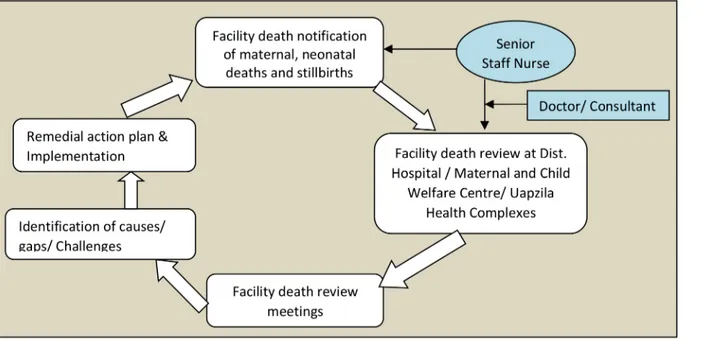 Fig 1. Facility death review in MNDR.