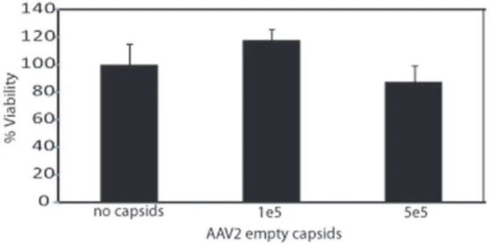 Figure 6. AAV Infection of hESCs Induces Early S-phase Accumulation. A) Normal human fibroblasts treated with 100,000 AAV3B vectors were treated 6 h post-infection with nocodazole