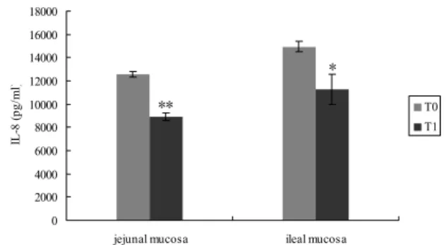 Table 1: Effect of oral administration of E. faecium on the secretion of  anti-inflammatory cytokines in jejunal and ileal mucosa of piglets 