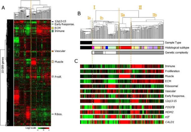 Figure 1. Whole-genome expression profiling of SFTs and STSs. A. Hierarchical clustering of 208 samples (29 SFTs and 179 STSs) and 10,089 genes with significant variation in mRNA expression level across the samples (SD$0.25)