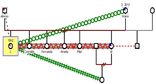 Figura 3. Genograma representativo da tipologia relacional e comunicacional obtido pelo  program genopro para o tipo de família da utente I