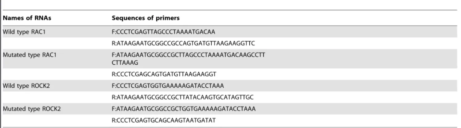 Table 4. Sequences of primers used for dual luciferase assay.