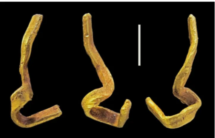 Fig. 5. The complete V-perforated and associated ivory buttons  from Galeria da Cisterna: 1-3