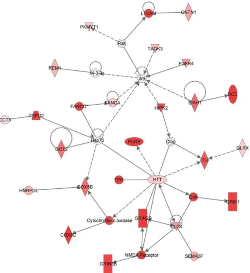 Figure 3. Network of genes involved in glutamate signaling in the prefrontal cortex of ethanol drinking mice