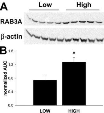 Figure 5. Histone deacetylase activity inhibition increases ethanol intake. A. Average weekly ethanol intake of C57BL/6NCrl mice after i.p