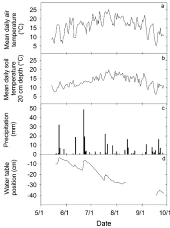 Fig. 1. Mean daily air temperature (a), mean daily soil temperature (b), precipitation (c), and water table position relative to the surface (d) in a poor fen from 19 May to 27 September 2011.