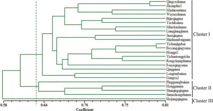 Figure 5. Dendrogram plot for 24 ramie varieties based on cluster analysis of 81 polymorphic EST-SSR markers.