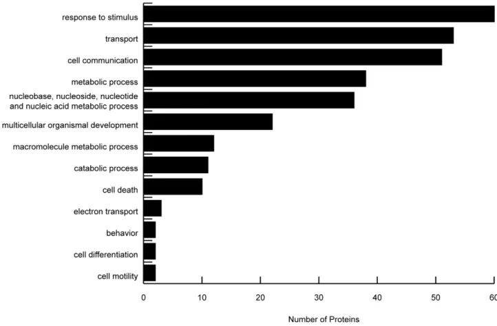Figure 1. GO slim of differentially expressed proteins. All 183 differentially expressed proteins between high scoring and low scoring performers were GO annotated and slimmed according to the GOA GO slim