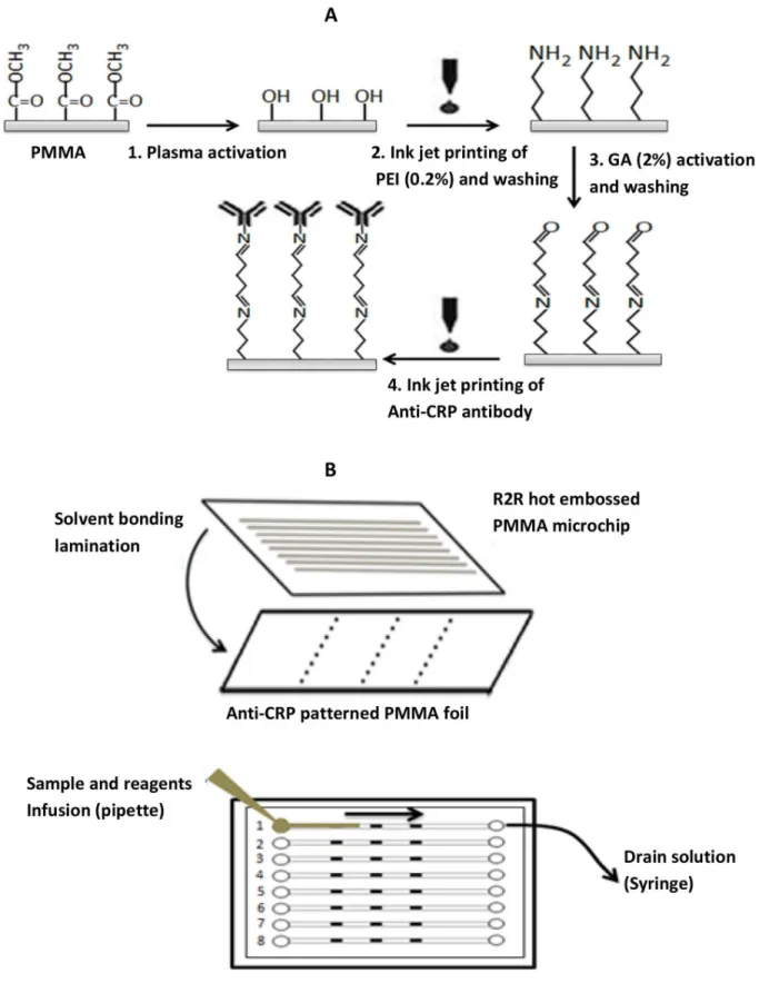 Figure 1. Inkjet printing of antibody array and assay format. (A) Schematic of the two-stage antibody patterning using the PEI and GA cross linker system
