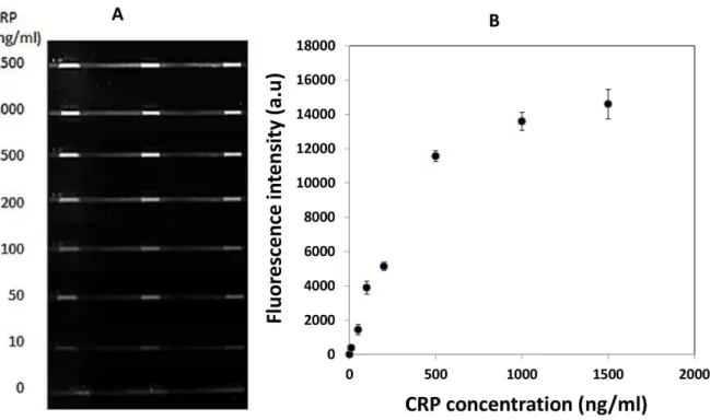 Table 2. Reproducibility of fluorescence intensity of CRP binding to the patterned anti-CRP spots in one channel.