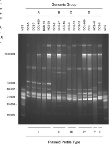 Table 7). Each group had identical 16S rDNA and flaB sequences that were unique from members of the other groups, while glpQ sequences segregated the spirochetes into the same groups for 13 of the 15 isolates