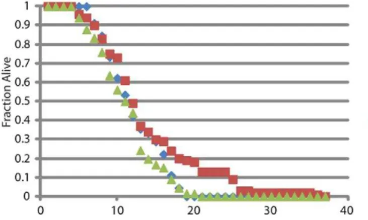 Figure 4. Longevity analysis, percent alive per day.