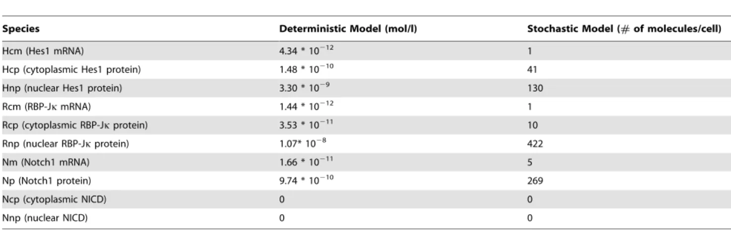 Figure 2. Bistability in Notch signaling. (A) Deterministic Hes1 trajectories as a function of time for two different strengths of Delta signals given as a product of the Delta concentration and the rate constant of formation of NICD upon Delta-Notch bindi