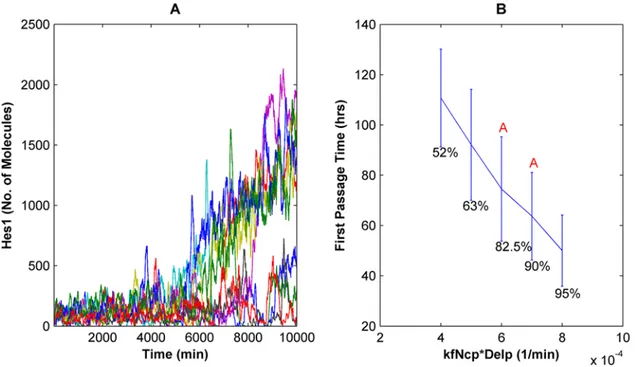 Figure 3. Stochastic simulations demonstrate spontaneous ‘‘OFF’’ to ‘‘ON’’ transitions