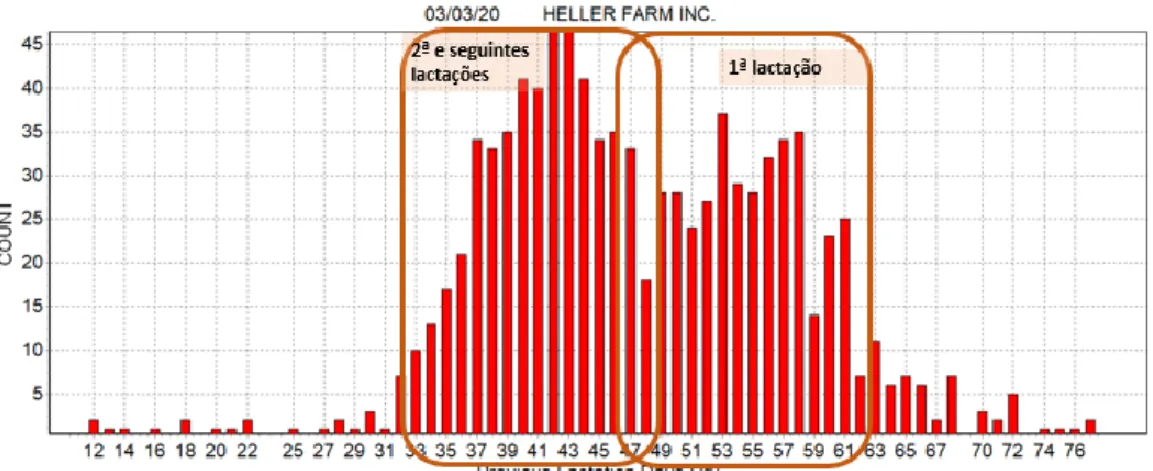 Gráfico 1 – Distribuição da duração do PS na HFI obtido no software DairyComp 305® no período de  4/3/2019 a 3/3/20 