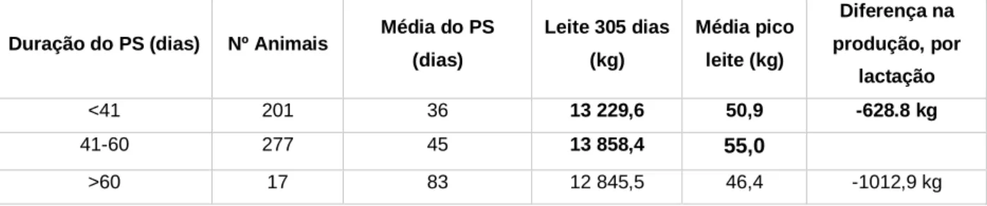 Tabela 7- Comparação da performance produtiva (lactações ajustadas aos 305 dias) dos animais a partir da 3ª  lactação em função da duração do seu PS precedente; (dados recolhidos do software DairyComp305) 