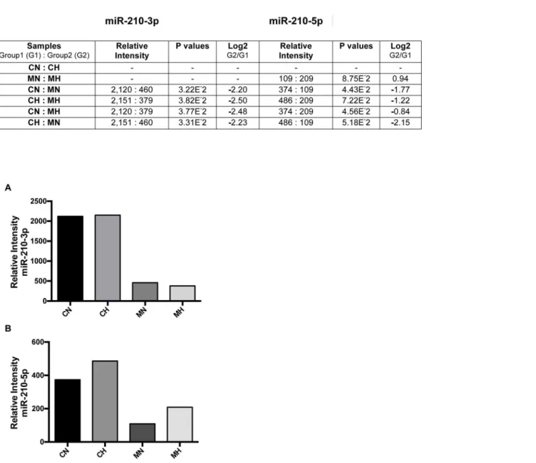 Fig 3. Effect of methyl sulfone on metastatic induction of miR-210-3p and miR-210-5p. (A) 66cl-4 metastatic breast cancer cells were grown to confluence in the presence and absence of methyl sulfone