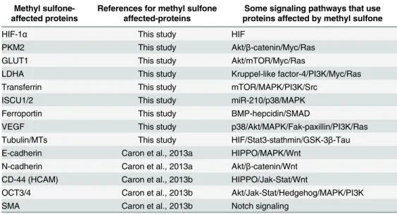 Table 1. Comparison of methyl sulfone-affected proteins and signaling pathways that likely play a role in these proteins ’ functions.